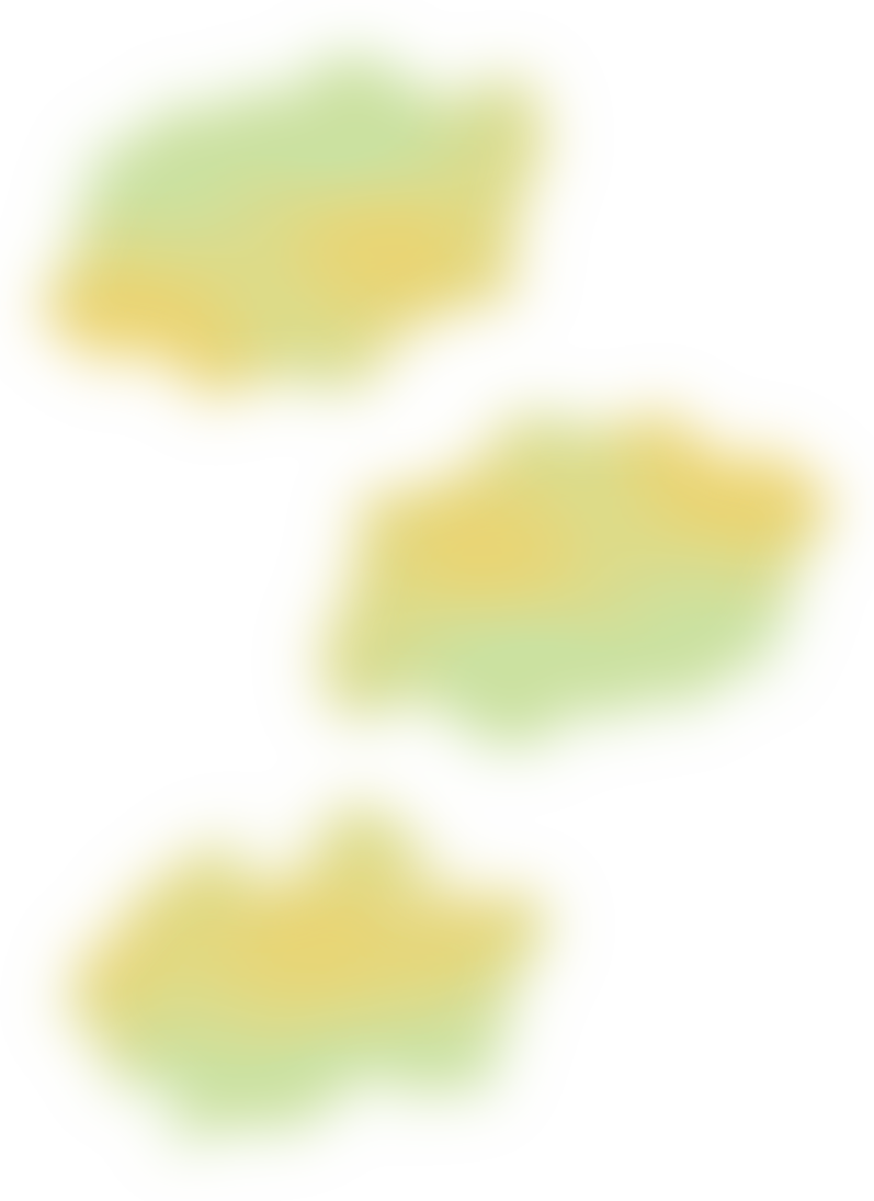 back_green_bright.png