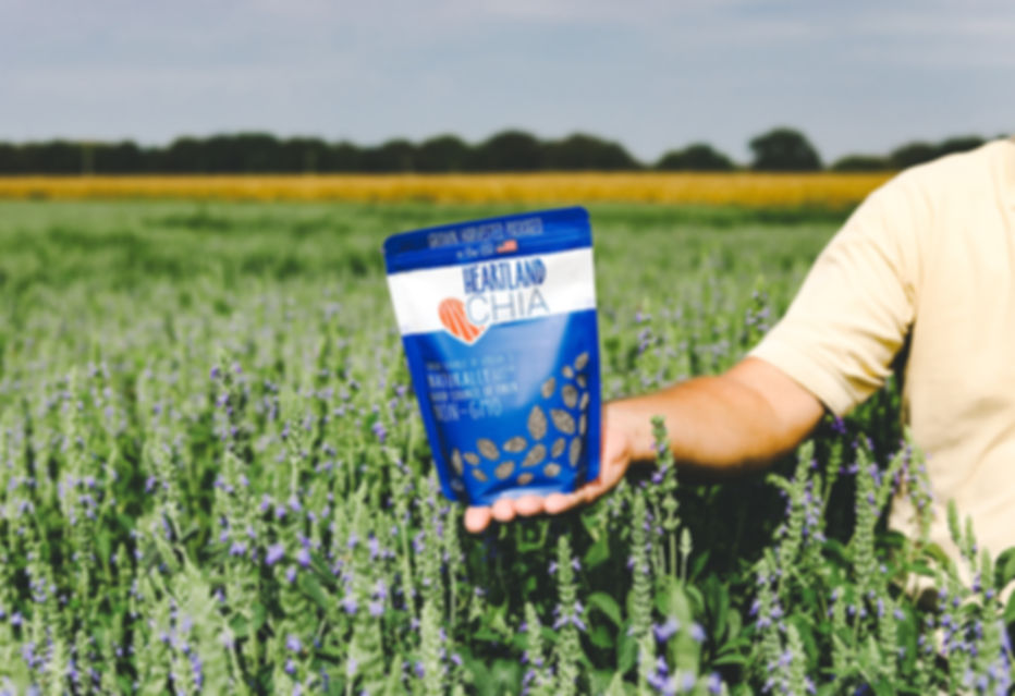 1 Bag Black Chia