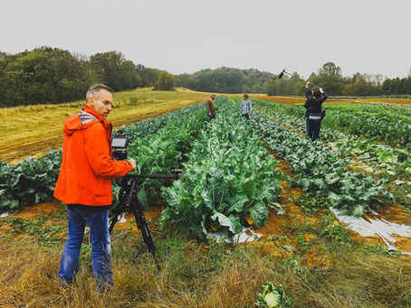 Reconnecting Roots: Farming with Facebook