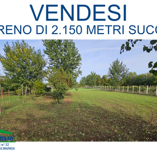 VENDITA TERRENO A SUCCIVO