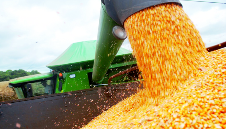Governo disponibiliza R$ 384 milhões em subvenção para contratar seguro rural