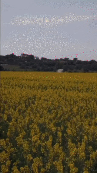 image00001 (2).gif