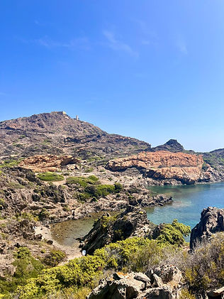 WhatsApp Image 2025-11-27 at 16.32.37.jpeg