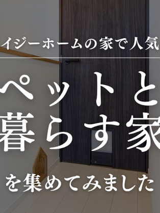 ペットと暮らす家づくり|アイジーホームの「ペット対応設計」施工事例