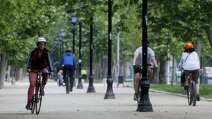 Dia de la actividad física 2018