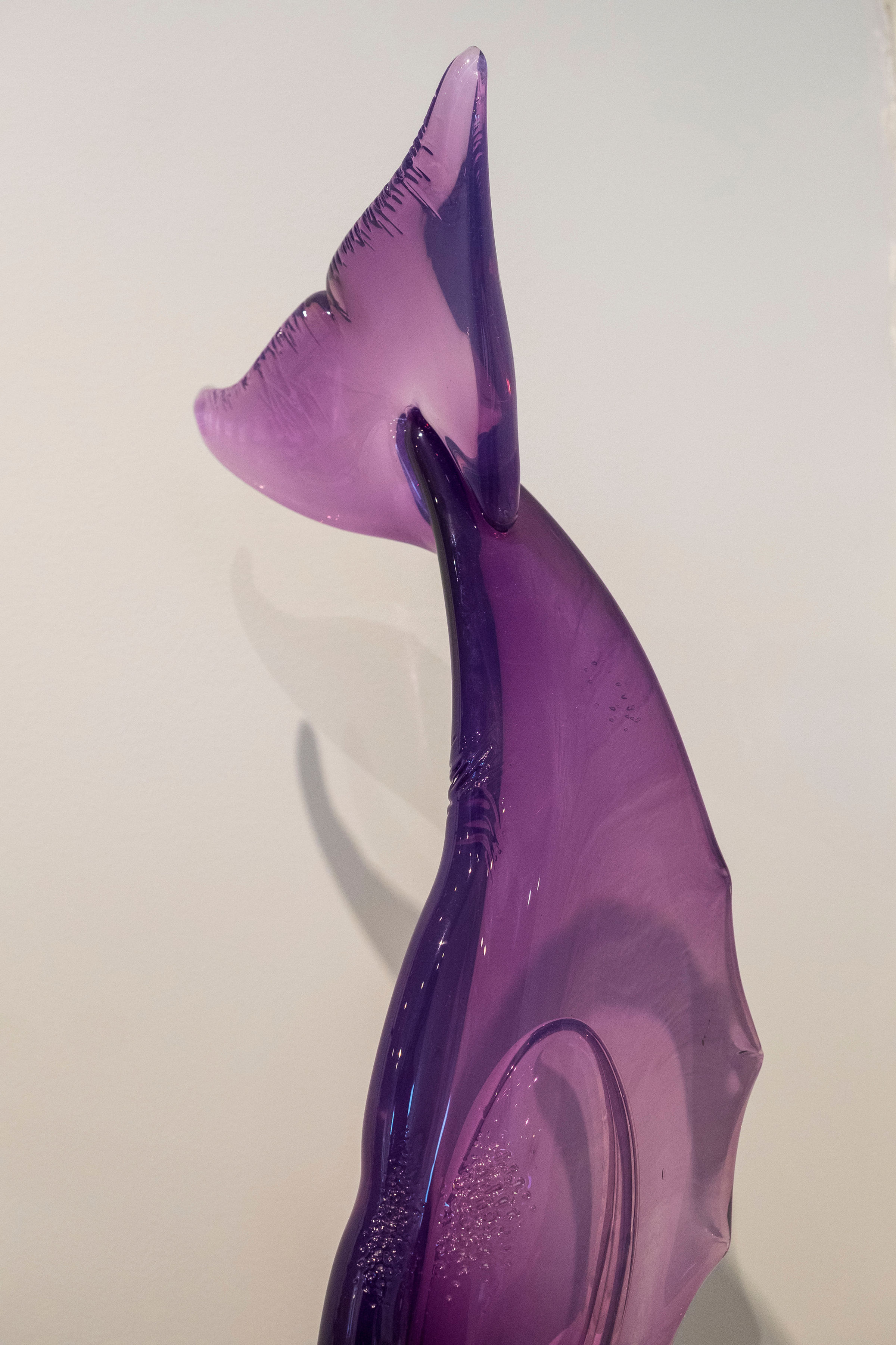 Whale Tail Nic McGuire