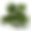Thumbnail: LIBRARY : TROPICAL TREES