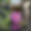 Thumbnail: VOLUME 1 : 1,380 PLANTS