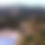 Thumbnail: LIBRARY : USA CONIFERS