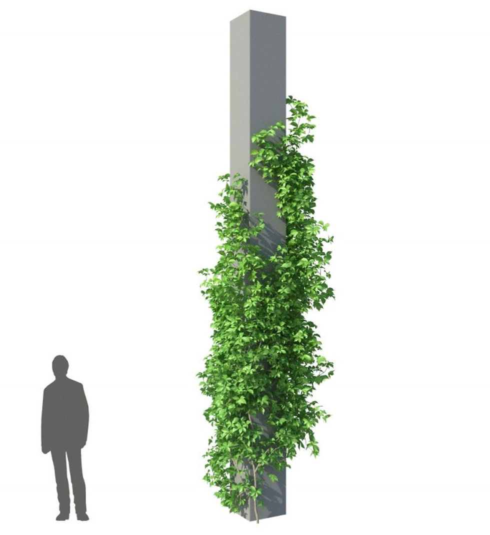 Thumbnail: LIBRARY : HD TREES 4