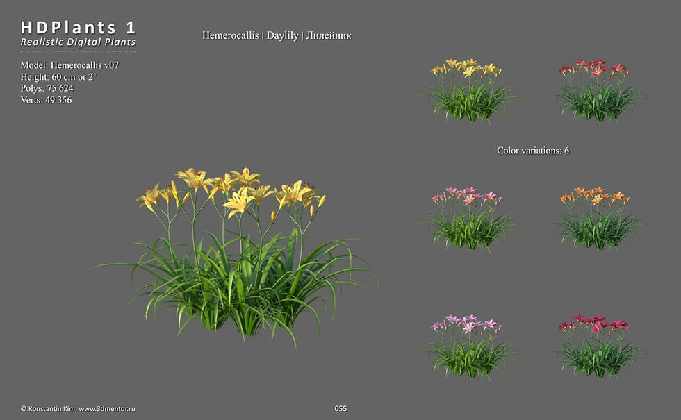 Thumbnail: LIBRARY : HD PLANTS 1