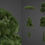 Thumbnail: XFROG ASIA