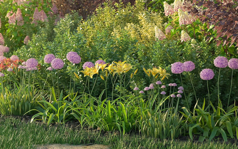 Thumbnail: LIBRARY : HD PLANTS 1
