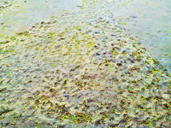 20110612_056