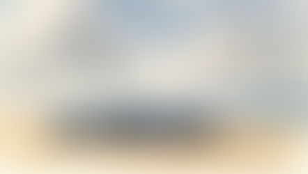 Un rorqual varat en una platja en territori neandertal.