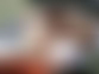 Day 19 of BB11 Feeds