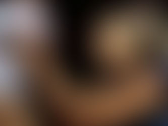 Day 17 of BB11 Feeds