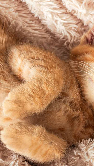 💤 Beter slapen door je geest te kalmeren 💤