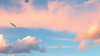 Amor Fati: vertrouwen op het proces en rust vinden wanneer het leven anders loopt