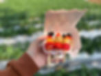親子農莊體驗遊