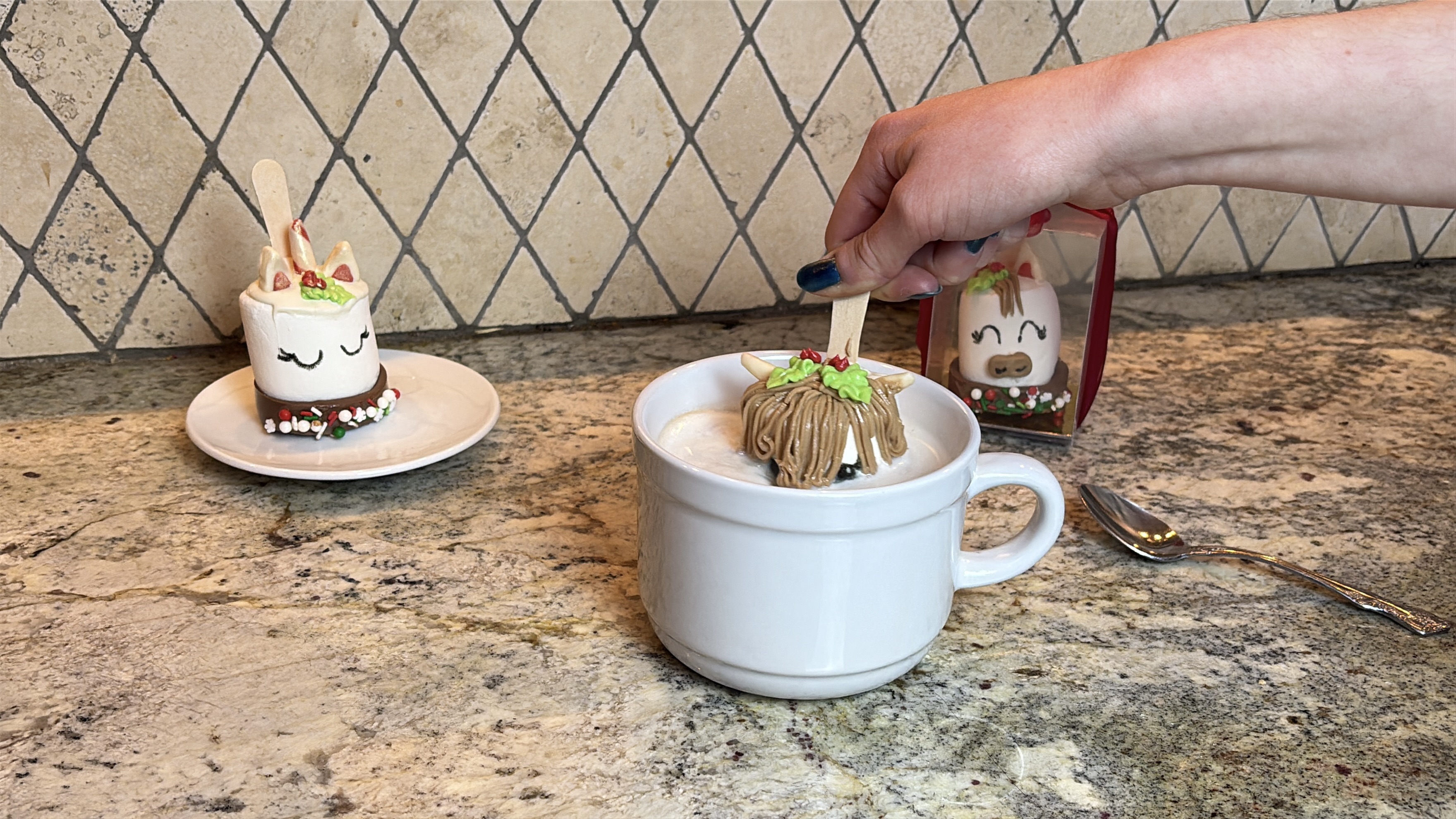 Arranged Food and Objects