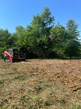 Forestry mulcher in cleared tree line