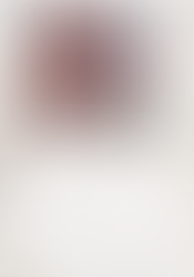 Calendrier Bellule Art 2023 format A3 - mai