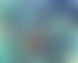 Bellule Art - Portrait floral - Pink kiss