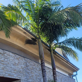 san diego commercial gutters.jpg