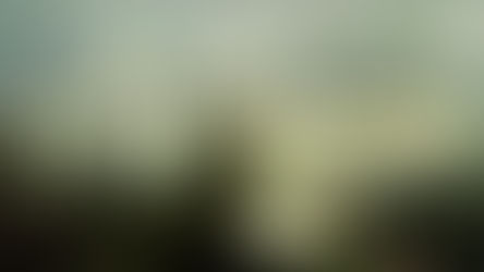 Panamá Papers Llegan hasta Yopal