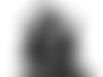 Los Piratas y los Wiki: Nuevos Partidos Políticos 2.0