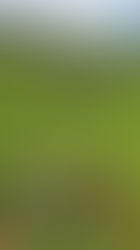 Abren inscripciones para taller ‘Escuela del Campo Verde y Sostenible’ en Zipaquirá