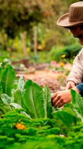 Microempresarios cundinamarqueses siguen ganando espacio en el mercado Nacional