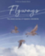 Flyways