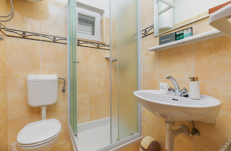 Bathroom with shower in Studio Apartment 1 in Medići.