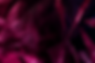 NO SNAKES.png
