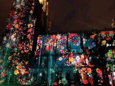 Cathédrale Notre-Dame de Strasbourg's summer projection mapping 2021. Vivid images flow quietly 😌