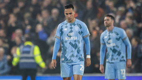 BLUEBIRDS RUN ENDS ON THE ROAD