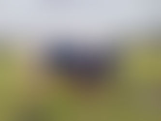 Photo Gallery Term 4 Week 6