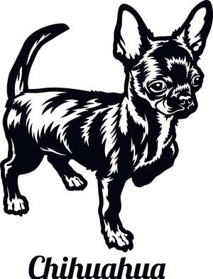 Adorable Peeking Chihuahua Decal Sticker 9