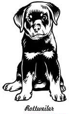 Aborable Rottweiler Pup Decal Sticker