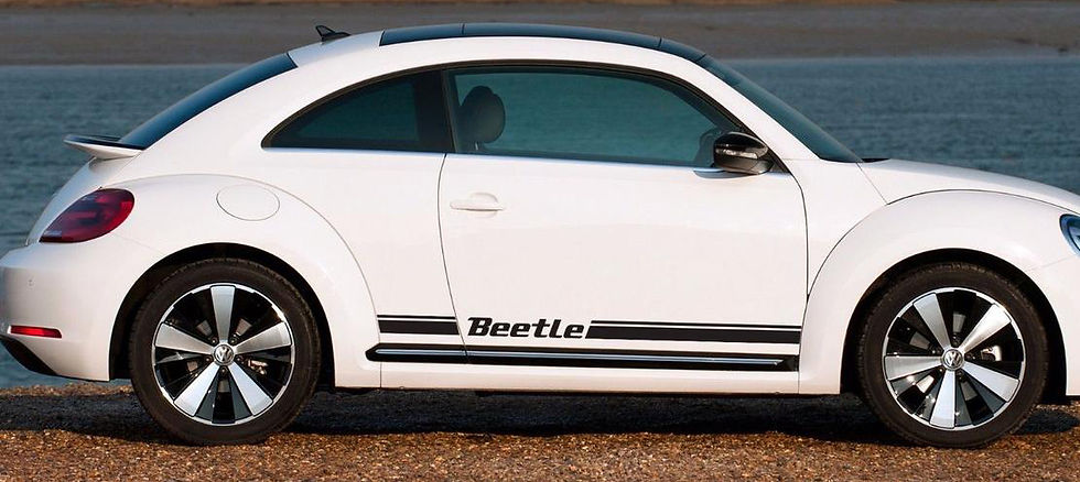 VW Volkswagon Bug Beetle Rocker Panel Stripe Vinyl Decal Sticker 69