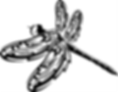 Dragonfly Decal Sticker 9