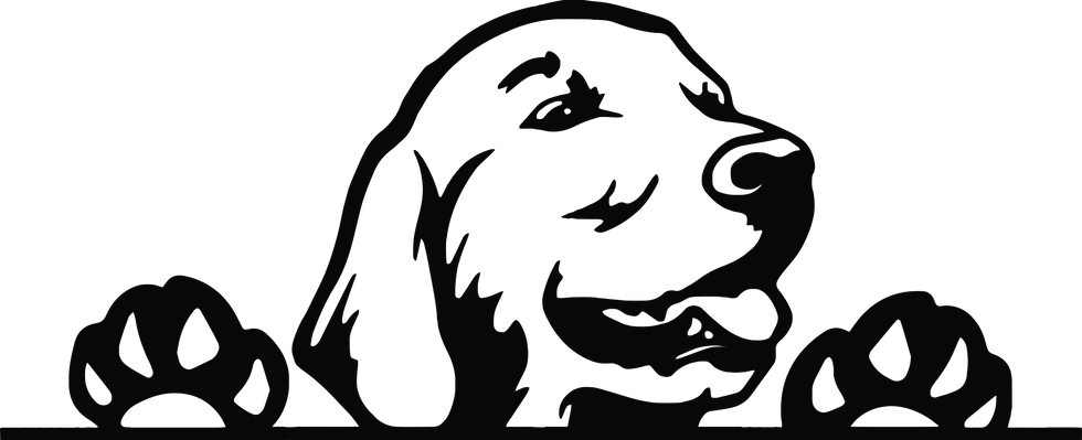 Thumbnail: Adorable Peeking Golden Retriever Dog Decal Sticker 11
