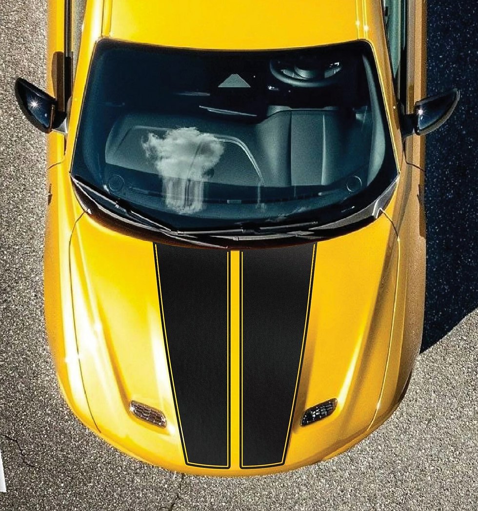 Split Style Pinstripe Hood Stripe Kit Vinyl Decal Fits Dodge Hornet 2023+