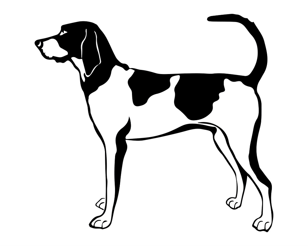 Miniatura: American English Coonhound Dog Decal Sticker 6 (add text)