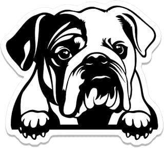 American Bull Dog Decal Sticker 17 (add text)