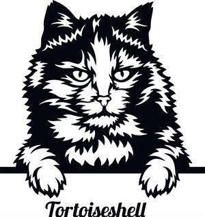 Adorable Peeking Tortoiseshell Cat Decal Sticker
