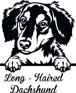 Adorable Peeking Long-Haired Dachshund Decal Sticker