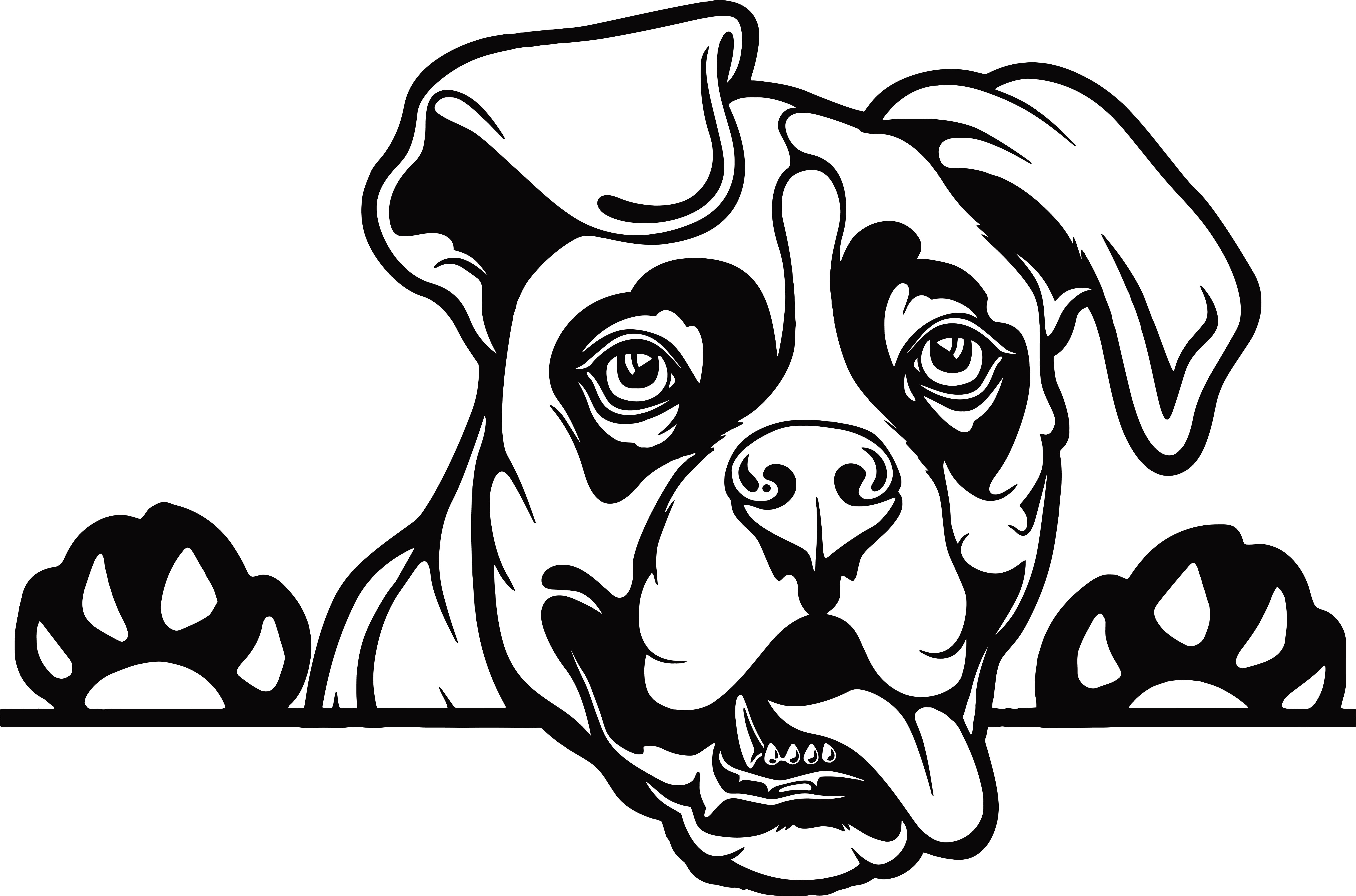 Adorable Peeking Boxer Dog Decal Sticker 5